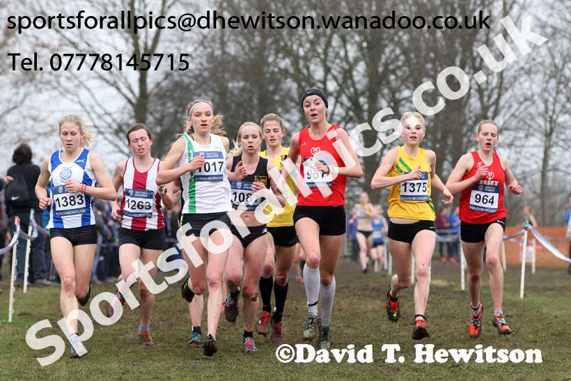 Senior womens Inter Counties Cross Country, Prestwold Hall, Loughborough. Photo: David T. Hewitson/Sports for All Pics